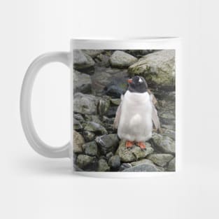 Gentoo penguin chick Mug